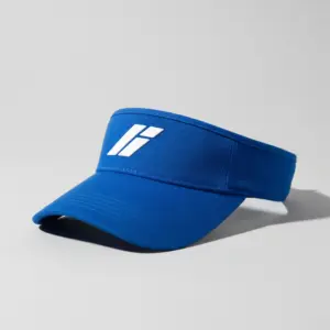 Visor